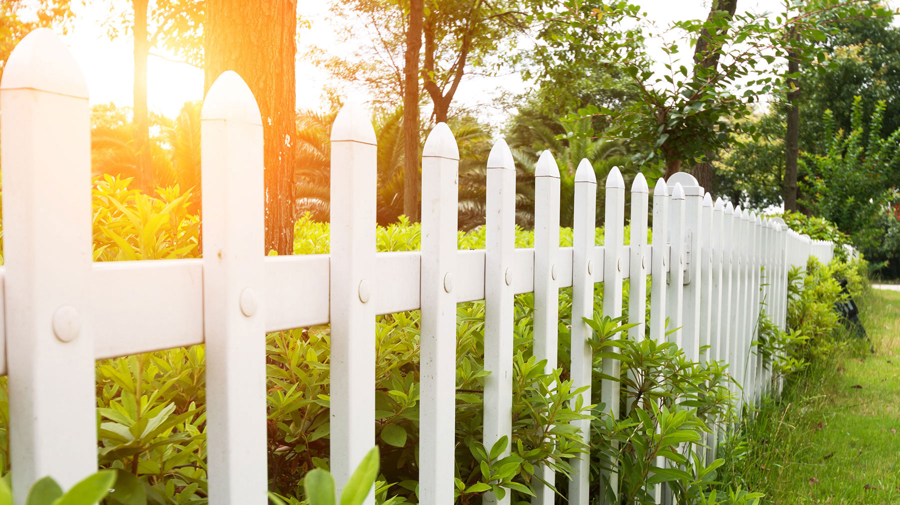 Carmen Heights HOA cover